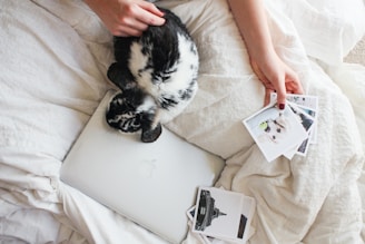 A small rabbit is resting on a closed silver laptop on a white bedspread. A person's hand is holding several printed photographs, including one featuring a dog.