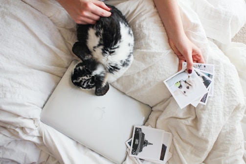 A small rabbit is resting on a closed silver laptop on a white bedspread. A person's hand is holding several printed photographs, including one featuring a dog.