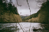 A serene river flowing through a misty forest, captured with a steady handheld camera.
