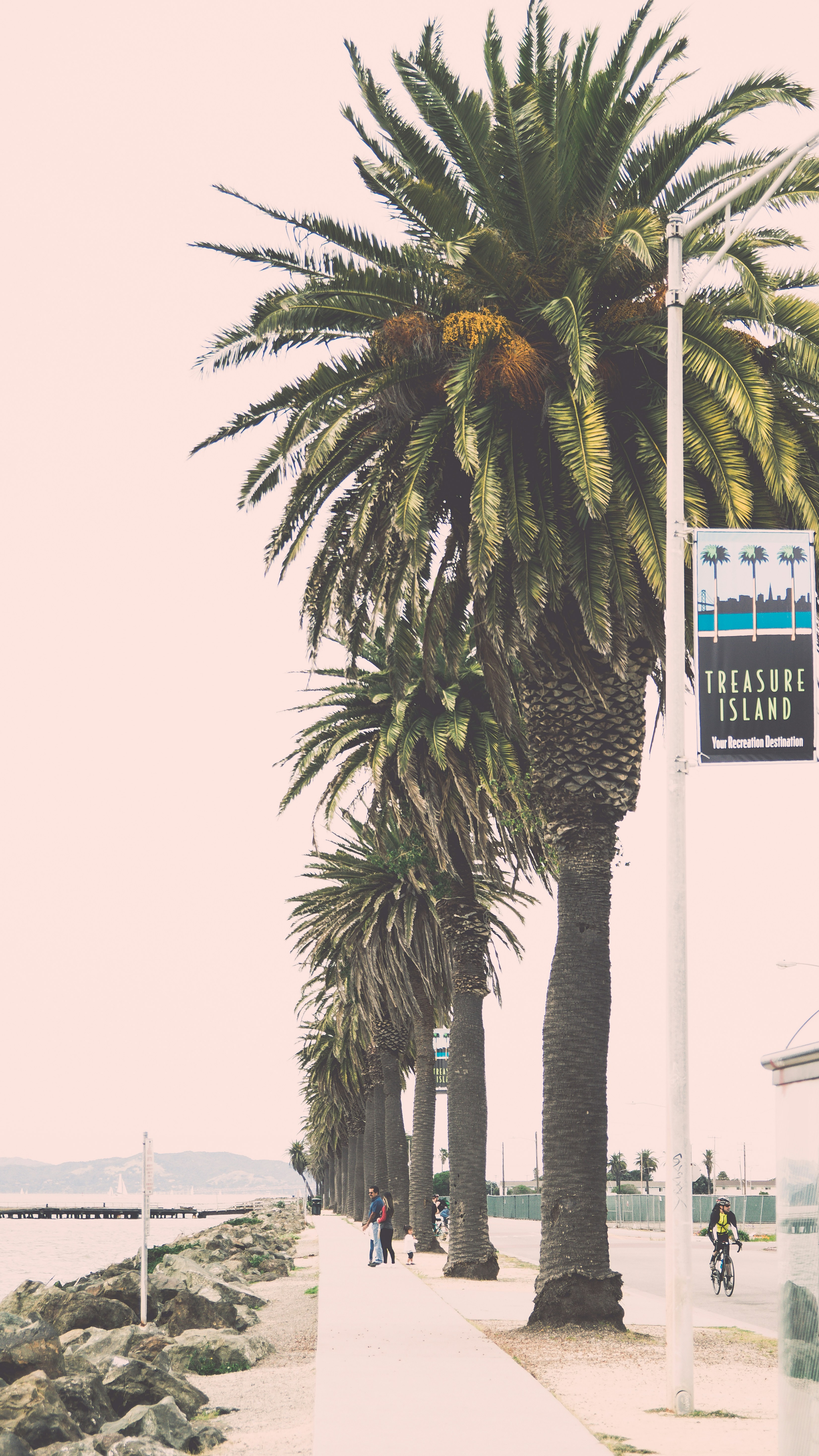 Free Unsplash photo from Arun Kuchibhotla