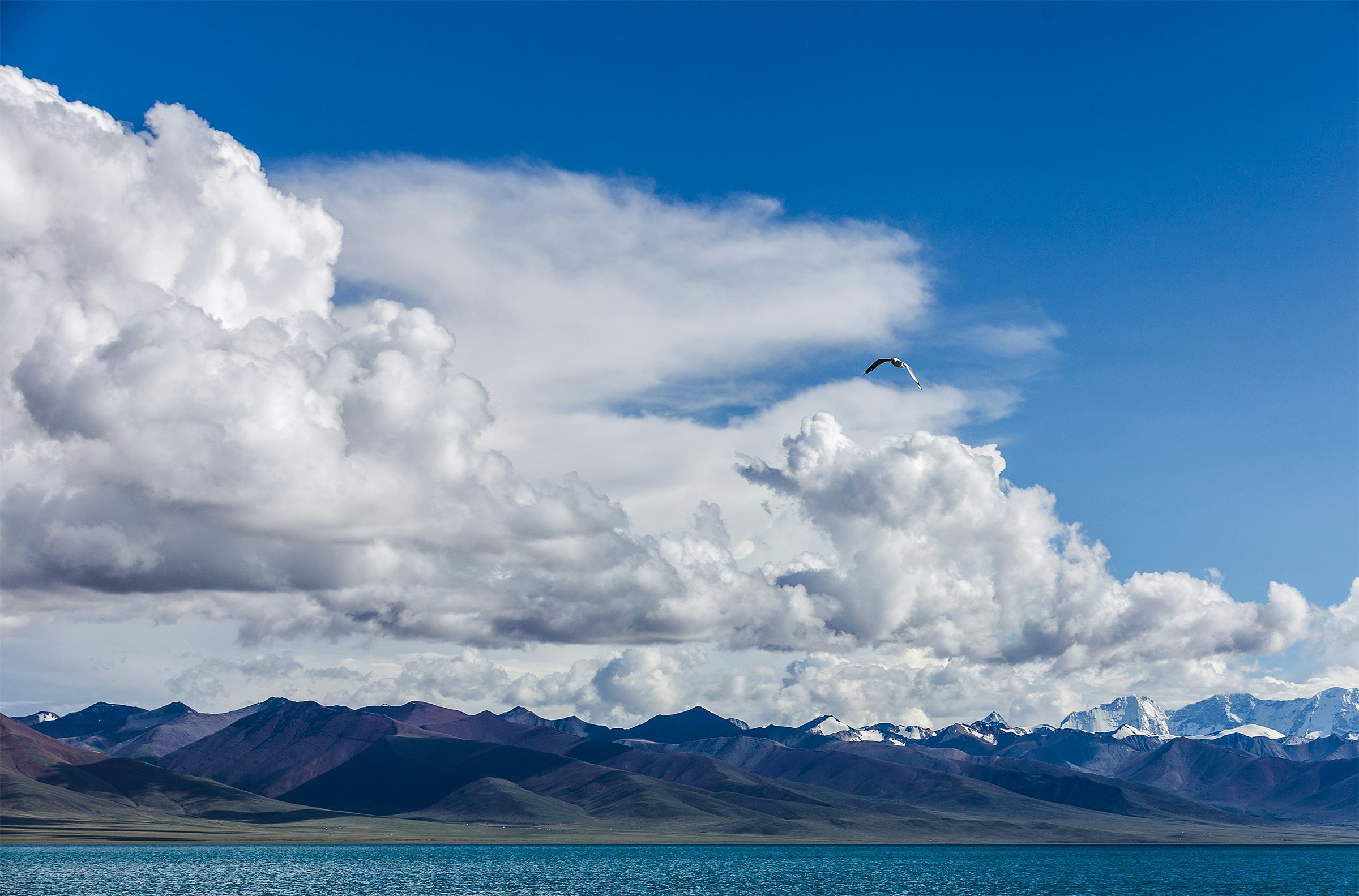 Free Unsplash photo from journey cloud