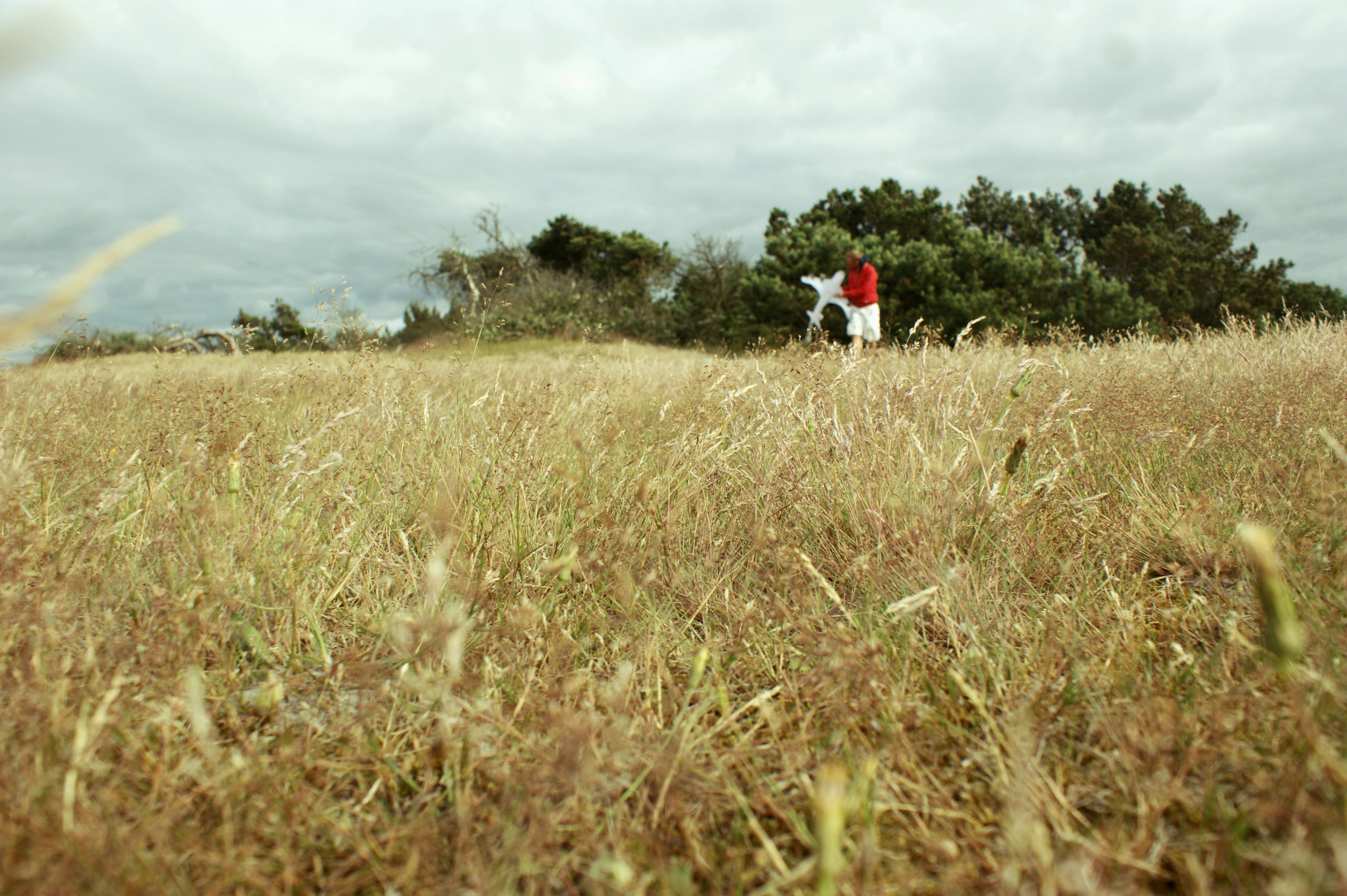 Free Unsplash photo from Ebba Hedin