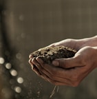 bokeh photography of person carrying soil