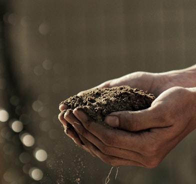 bokeh photography of person carrying soil