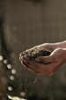 bokeh photography of person carrying soil