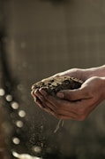 good soil on the homestead property is essential for gardens