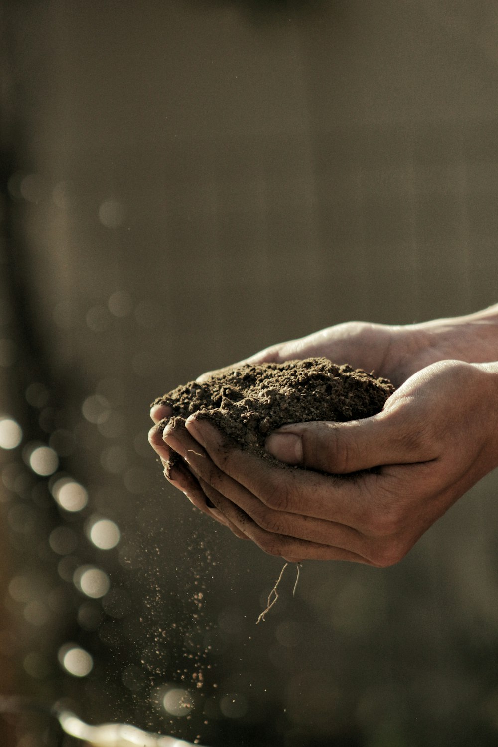 bokeh photography of person carrying soil