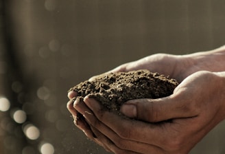 bokeh photography of person carrying soil