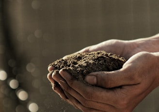 bokeh photography of person carrying soil