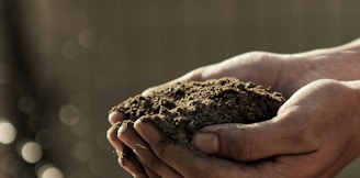 bokeh photography of person carrying soil