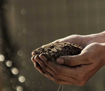 bokeh photography of person carrying soil