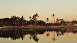 A serene coastal road with palm trees lining the shore and a traditional fishing boat in the distance.
