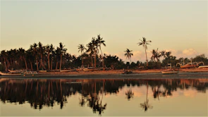 A serene coastal road with palm trees lining the shore and a traditional fishing boat in the distance.