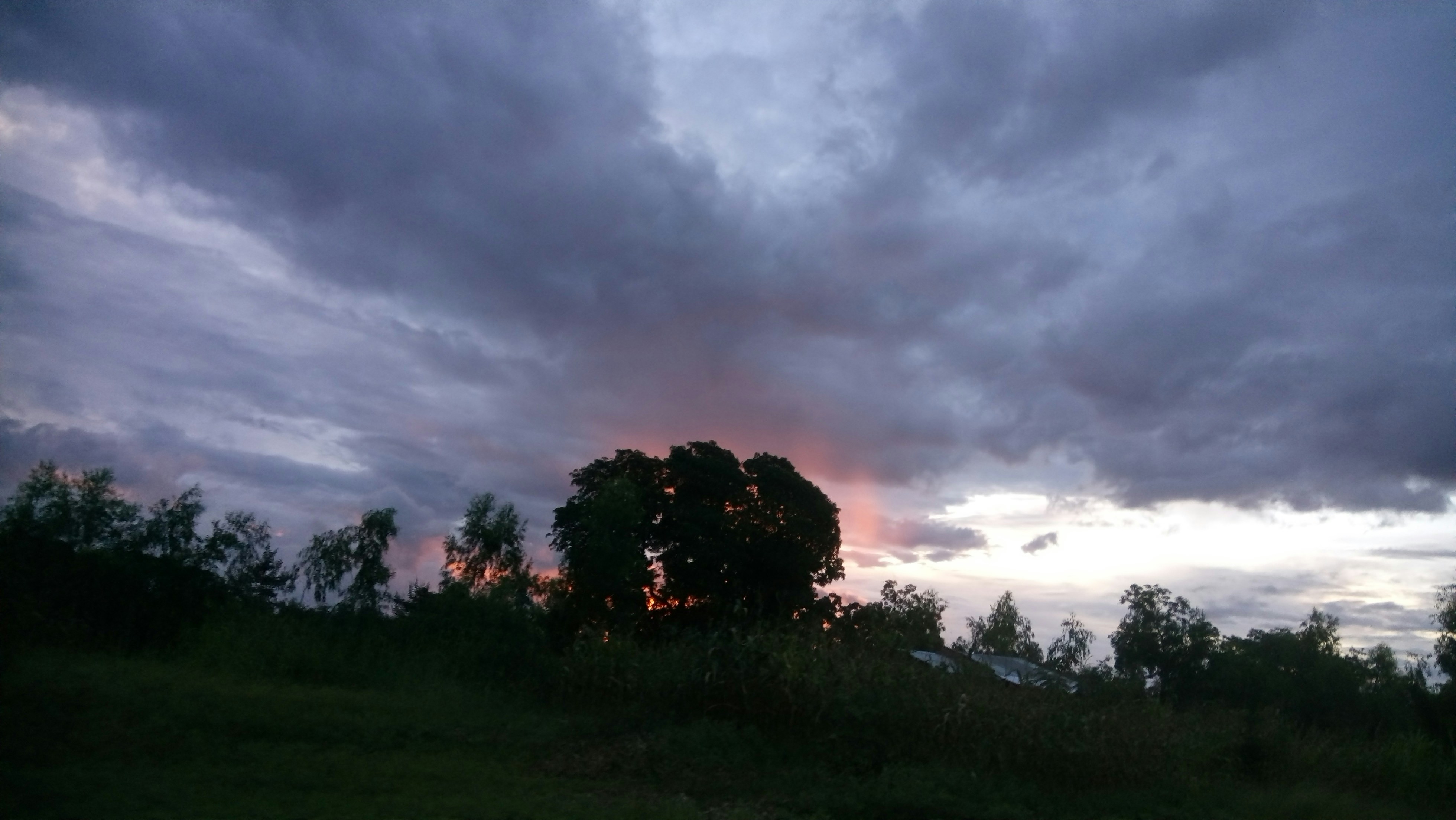 Free Unsplash photo from Mohamed Hanee