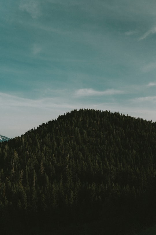 aerial photo of mountain with trees in Burney United States