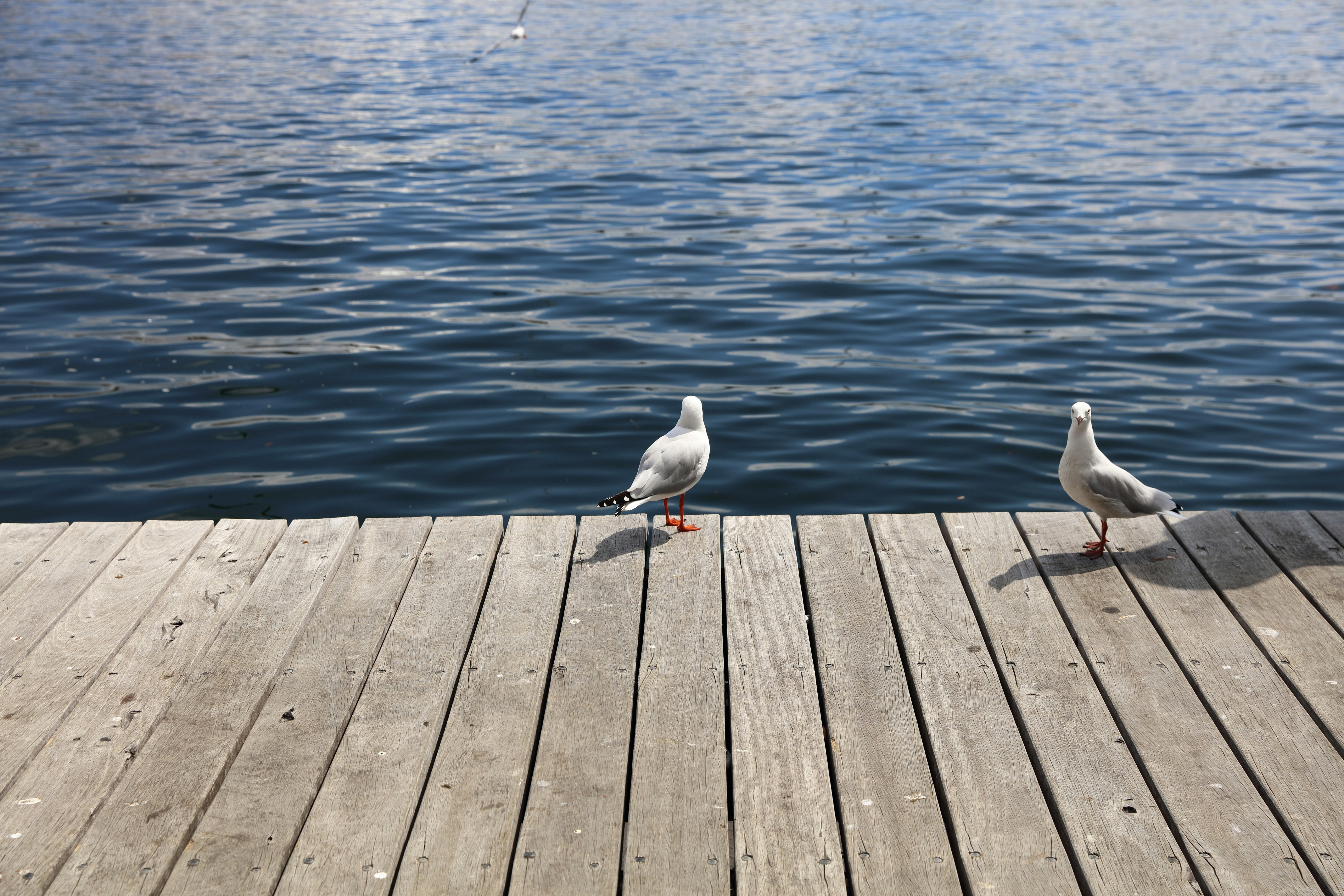 Free Unsplash photo from Sam Jiang