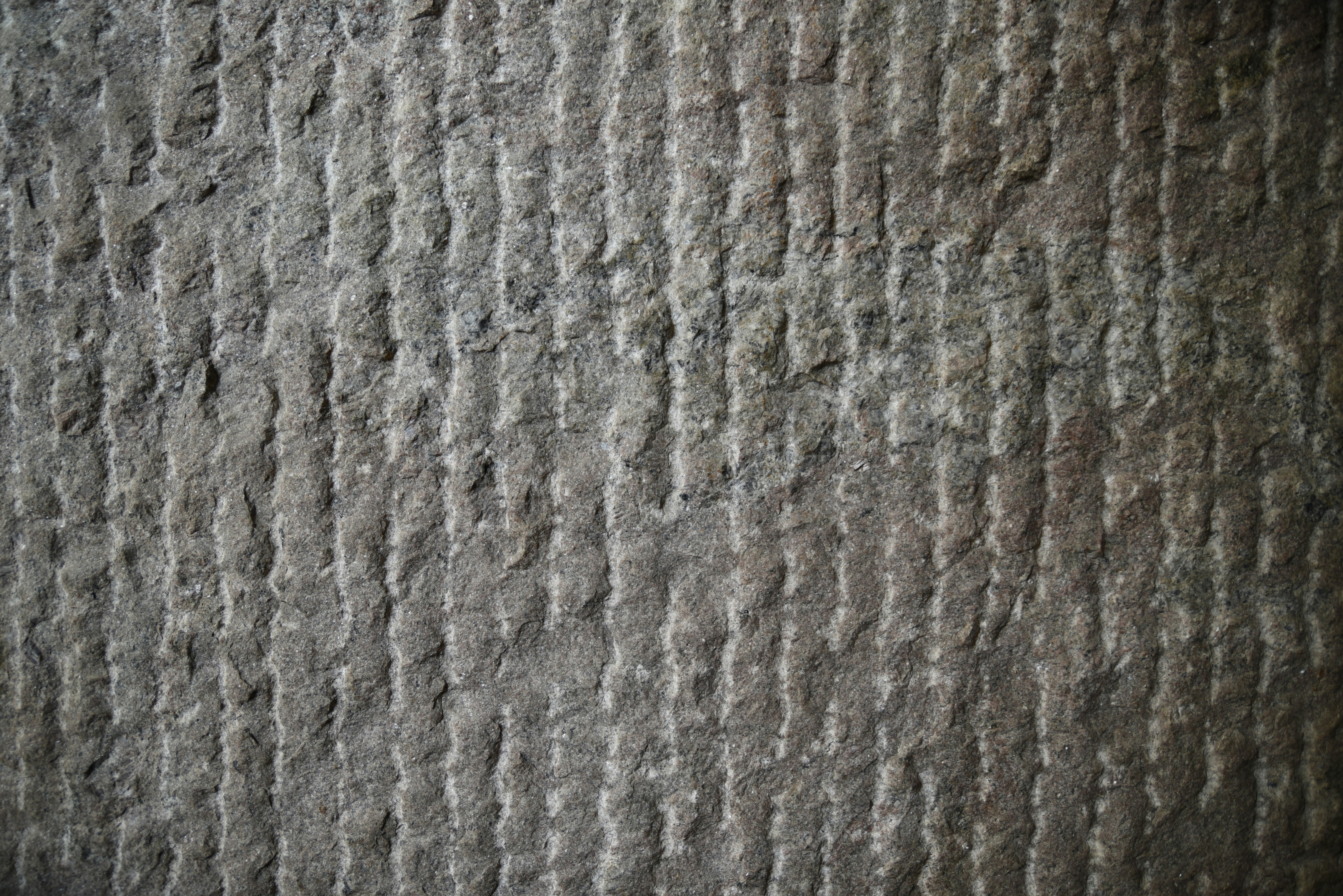 Free Unsplash photo from Christian Appelsved