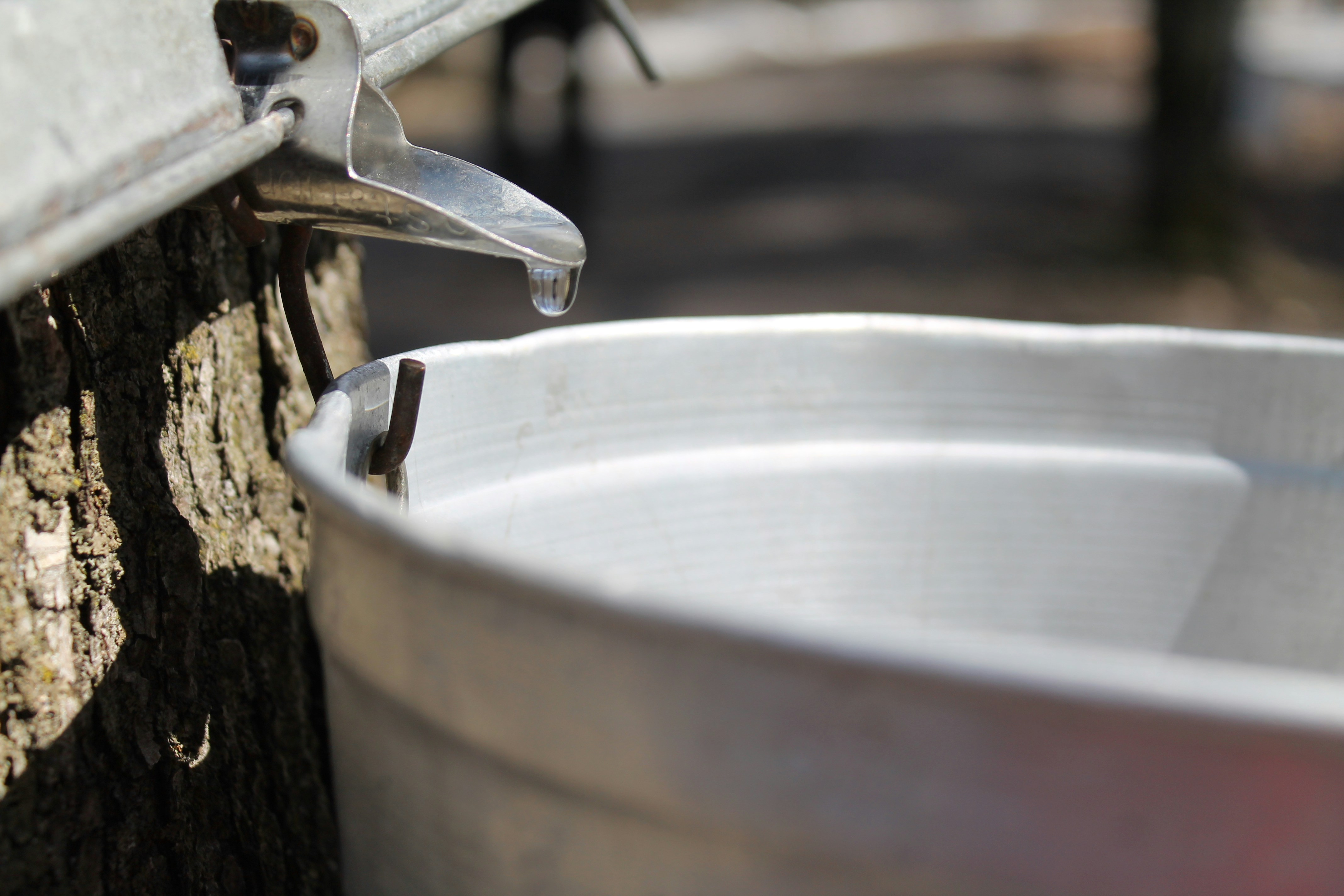 Free Unsplash photo from Marketa Kopal