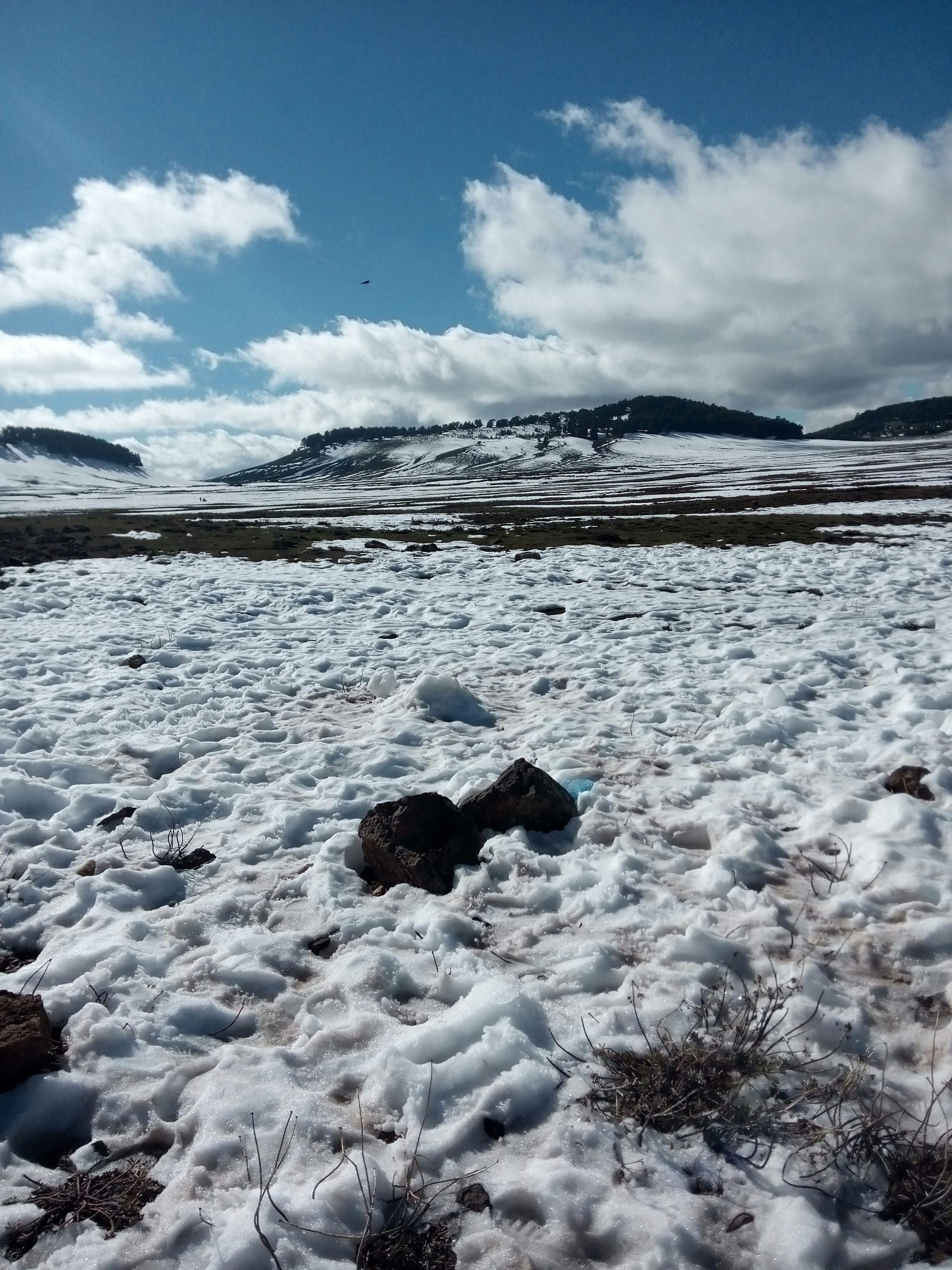 Free Unsplash photo from zineb asserane