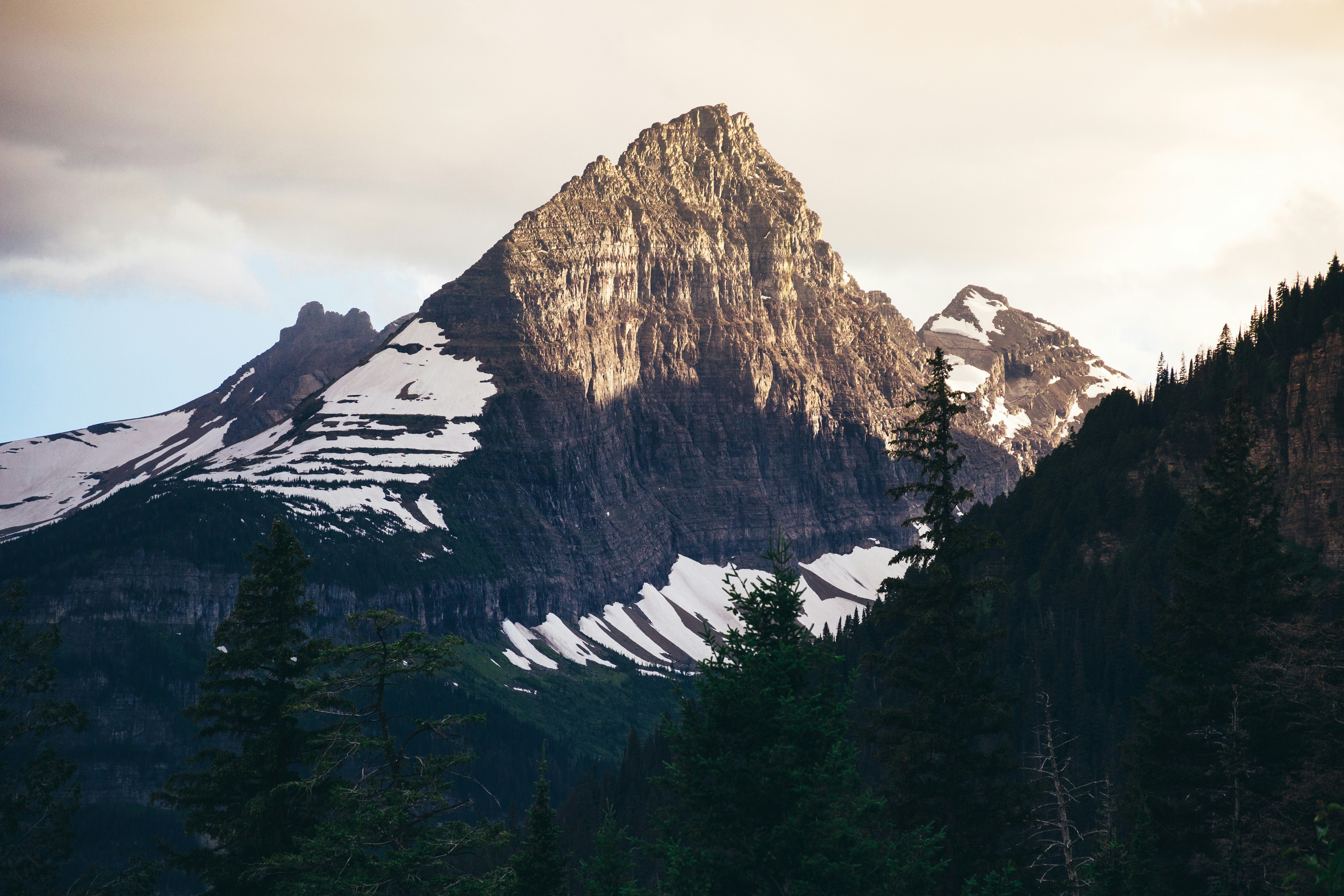 Free Unsplash photo from Terrah Holly