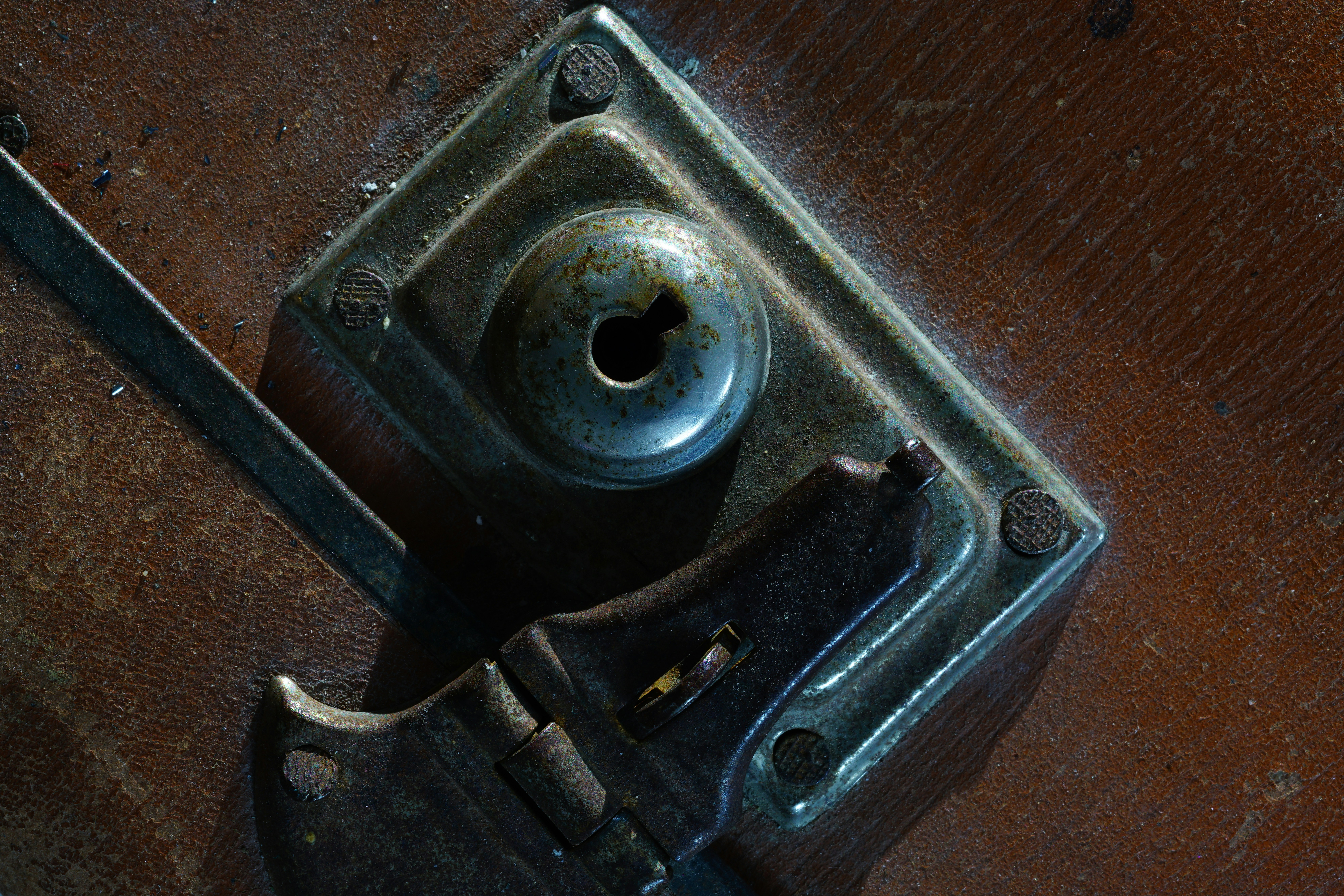 Free Unsplash photo from Majid  Masajedi