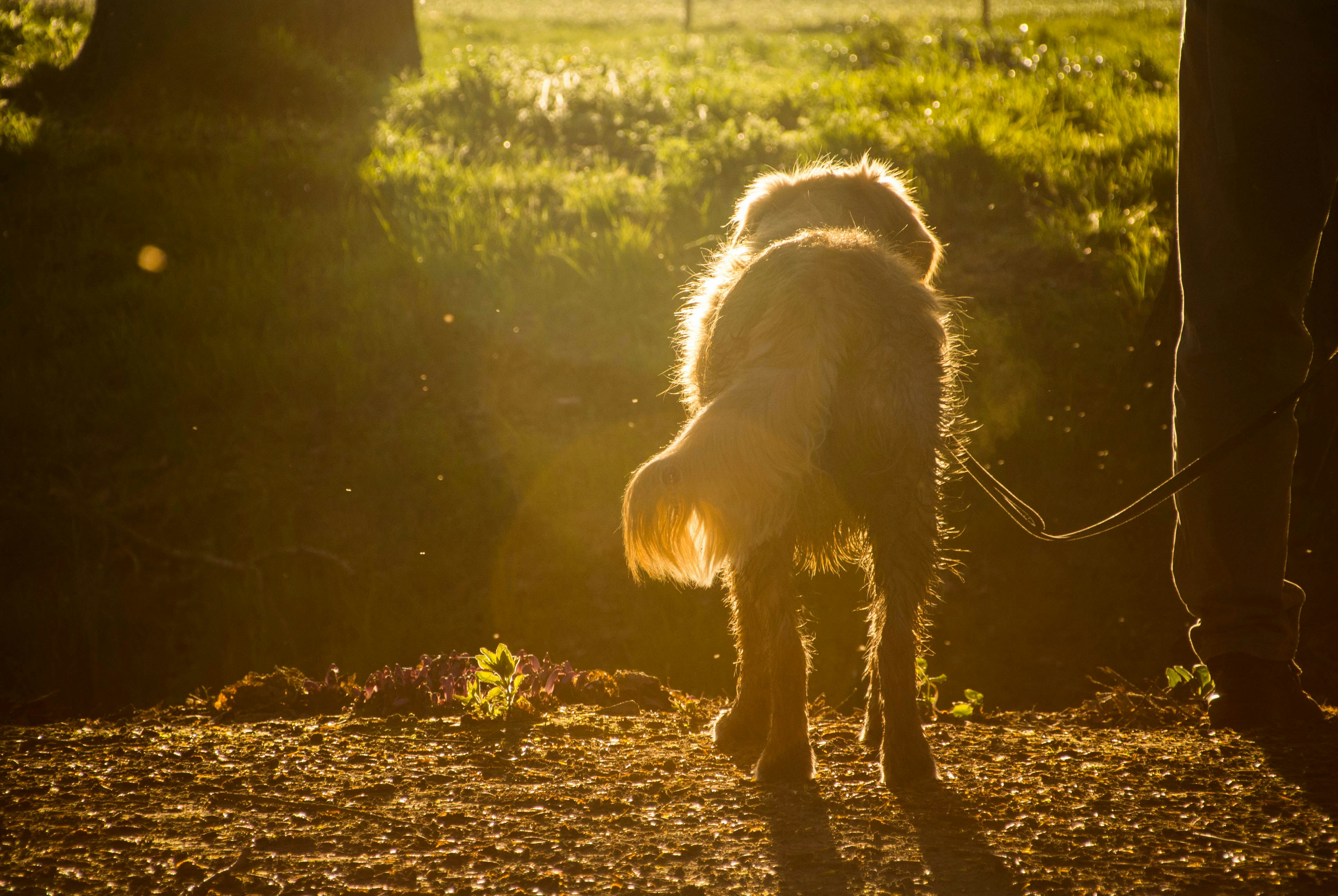 Free Unsplash photo from Wout Vanacker