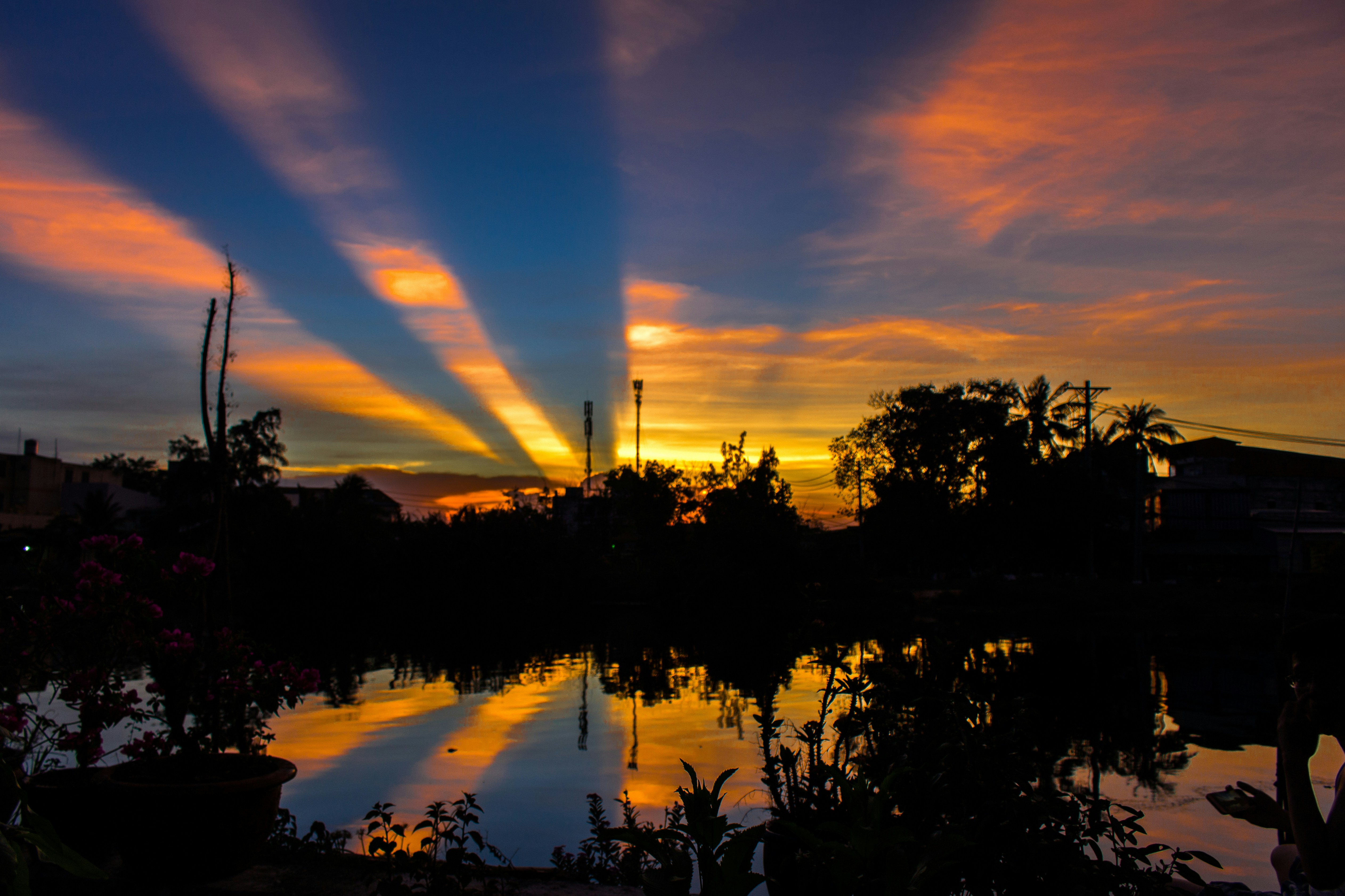 Free Unsplash photo from Chinh Bao