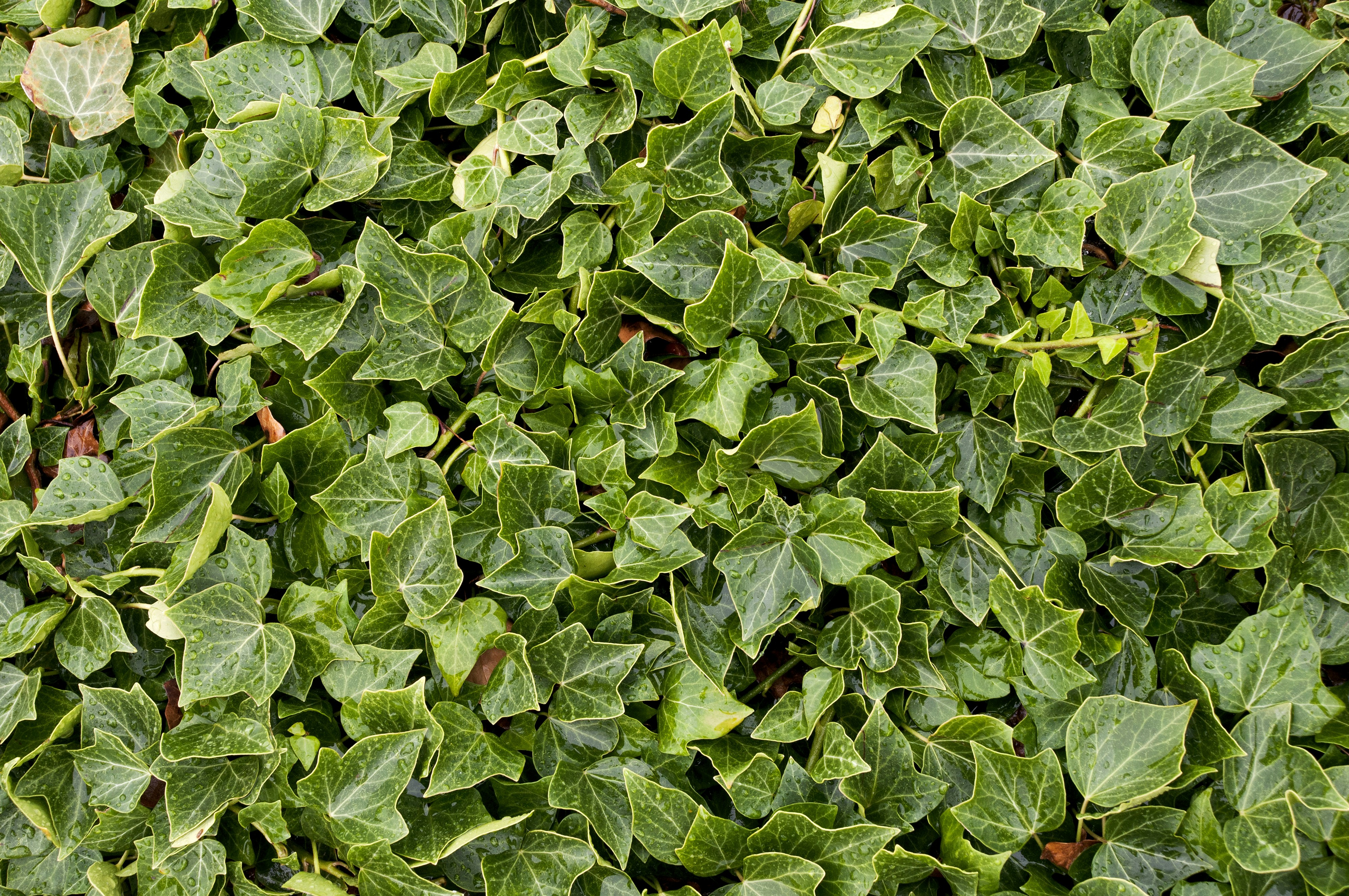 Free Unsplash photo from Jan Mellström