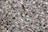 A large collection of small, smooth, and multi-colored pebbles closely packed together, showcasing variations in texture and size.