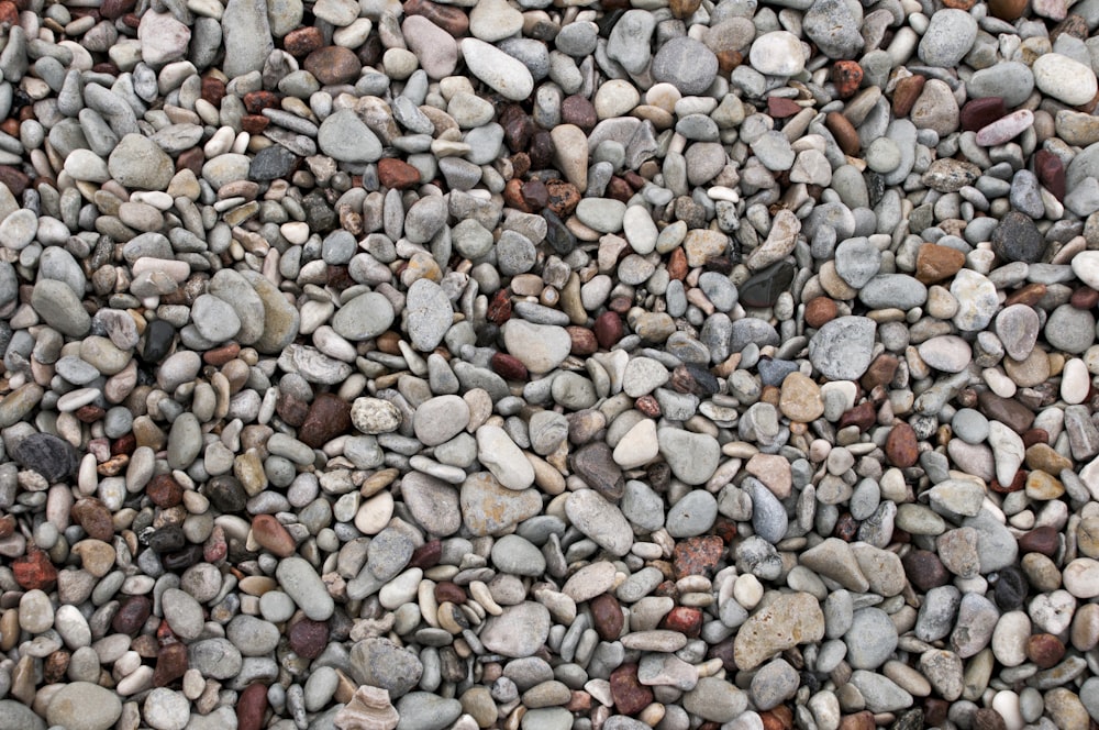 grey and white stones