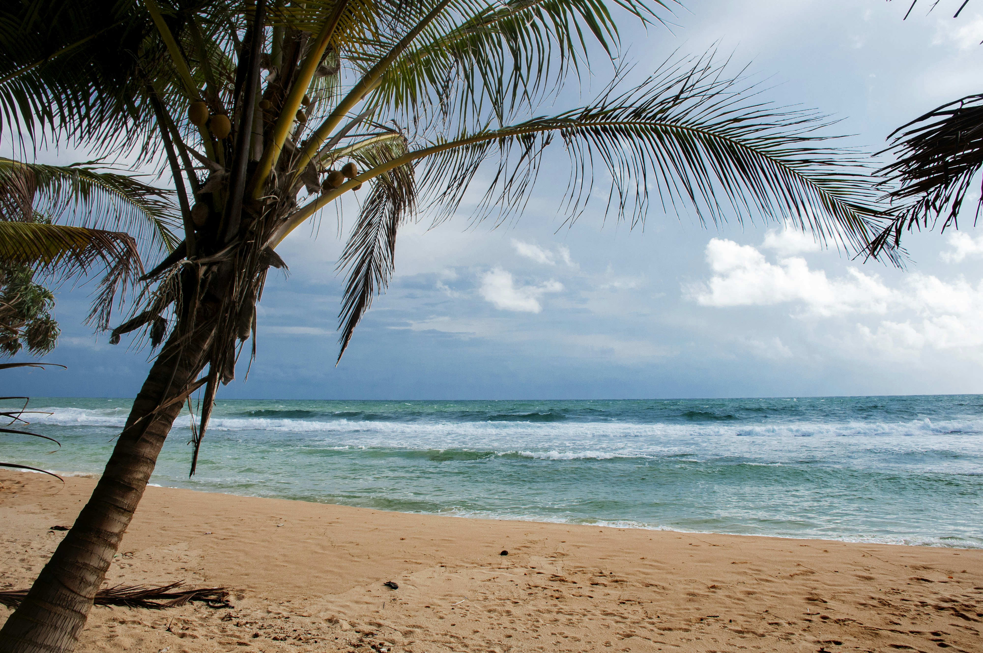 Free Unsplash photo from Jan Mellström