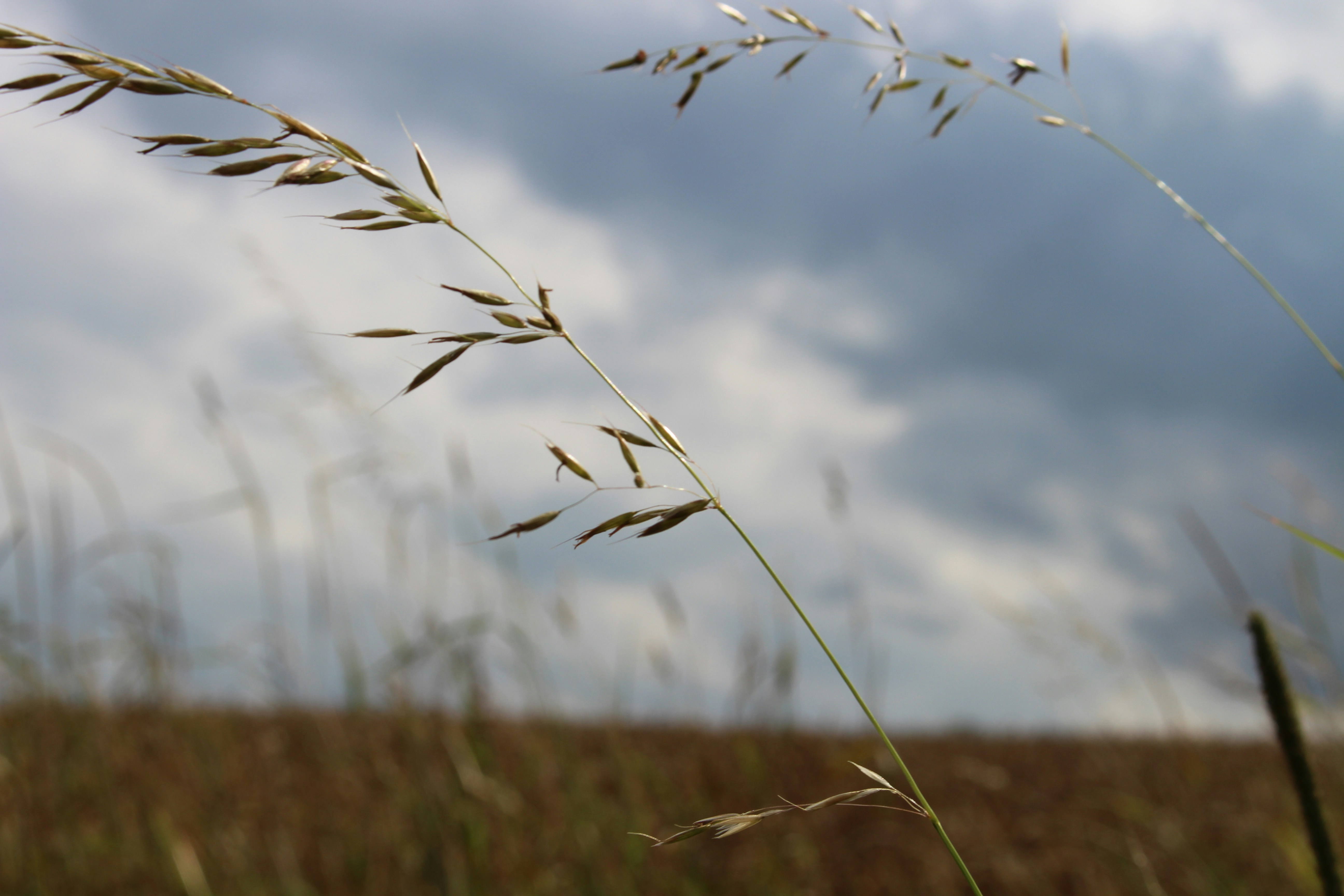 Free Unsplash photo from Arian Gentes