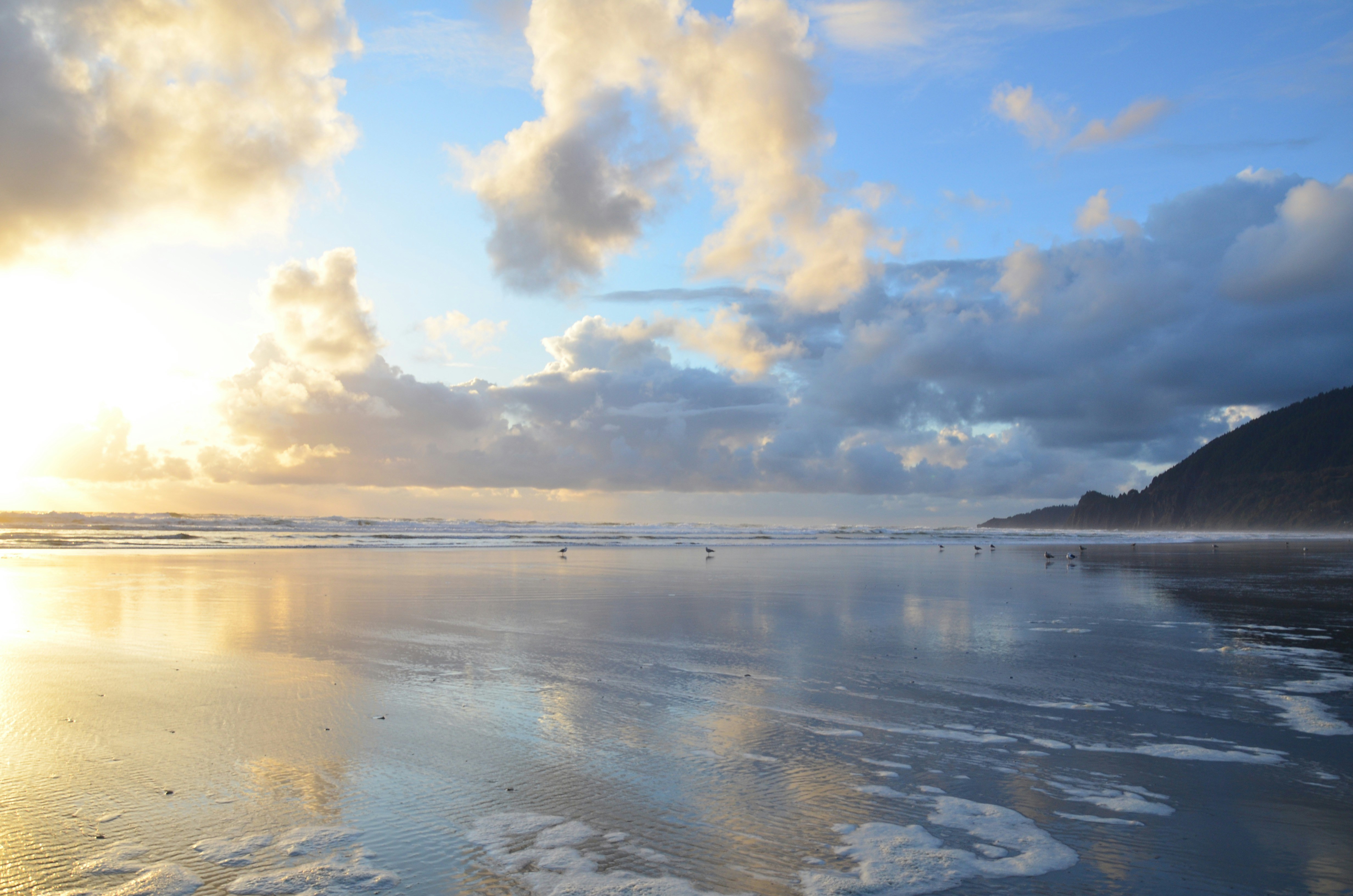 Free Unsplash photo from Jamison McAndie