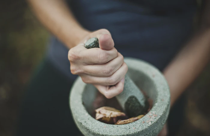 Grinding herbs, ayurvedic preparation