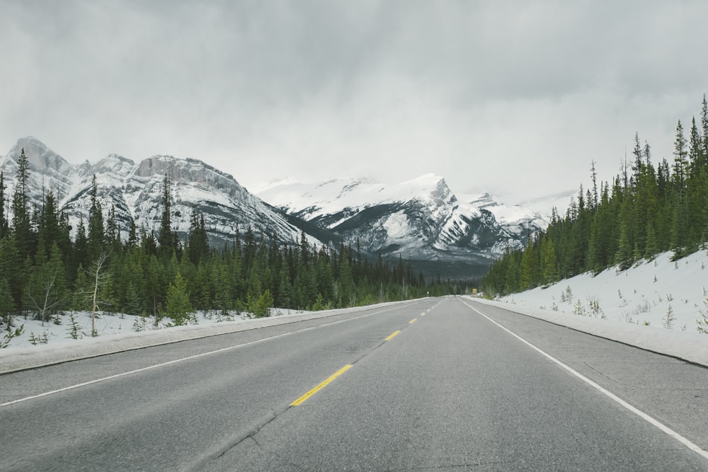 snowy mountains across asphalt road