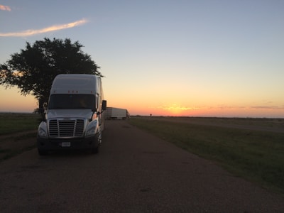 A large white semi-truck is parked on a rural road at dusk. The road is bordered by grass, and a substantial, leafy tree stands nearby, partially shading the truck. In the background, the sky transitions from light blue to warm orange hues as the sun sets on the horizon.