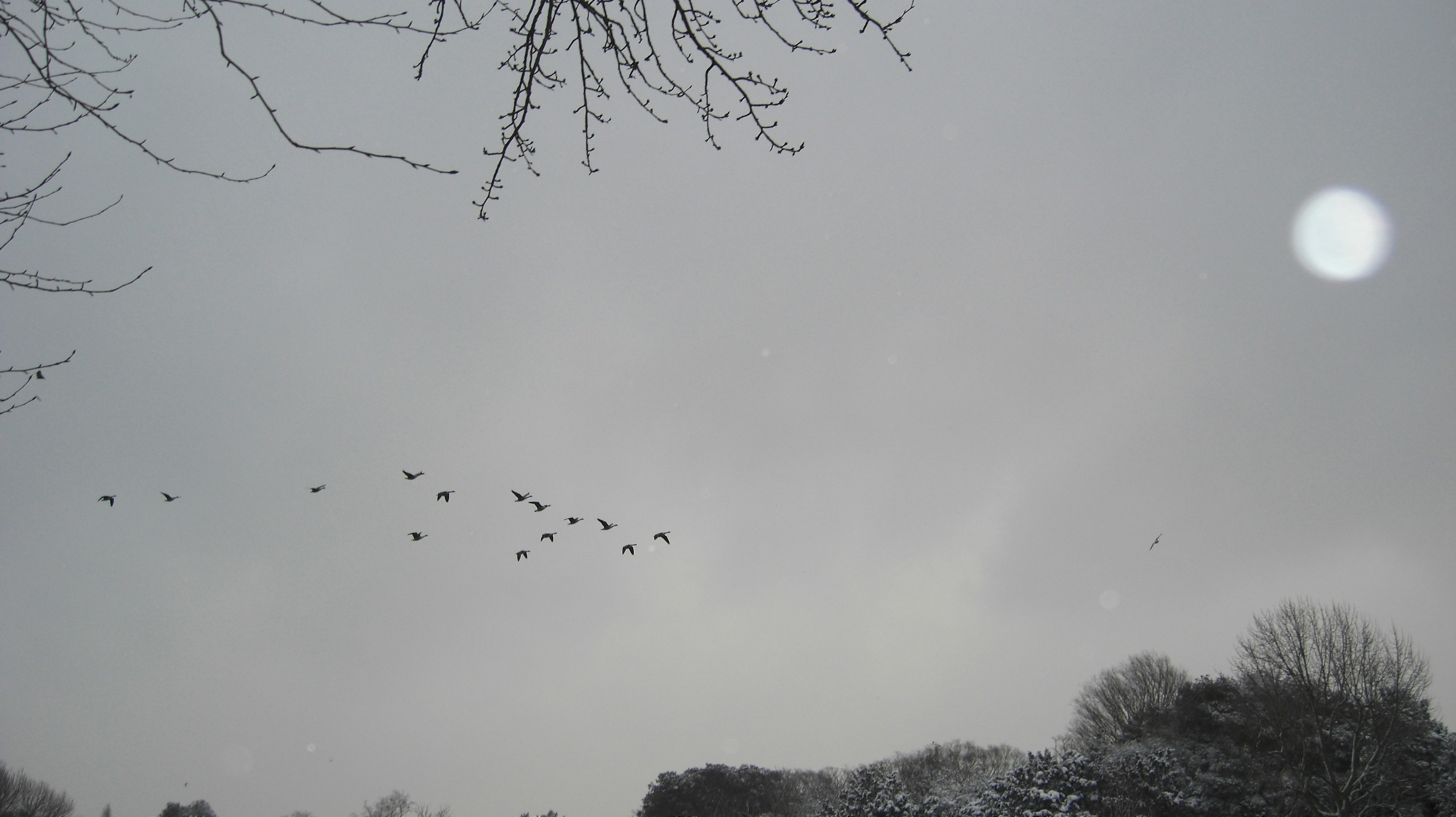 Free Unsplash photo from Jeffrey Birnberg