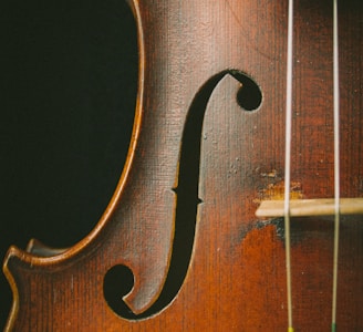 brown violin