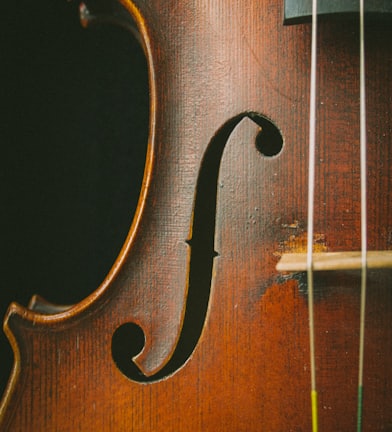 brown violin