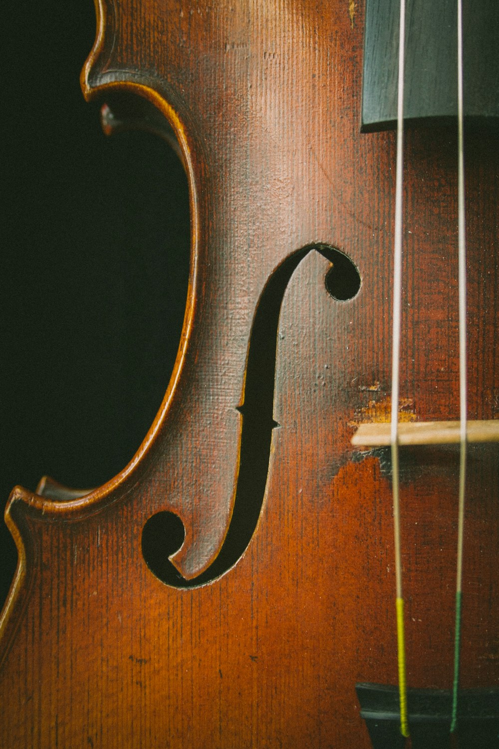 violino marrom