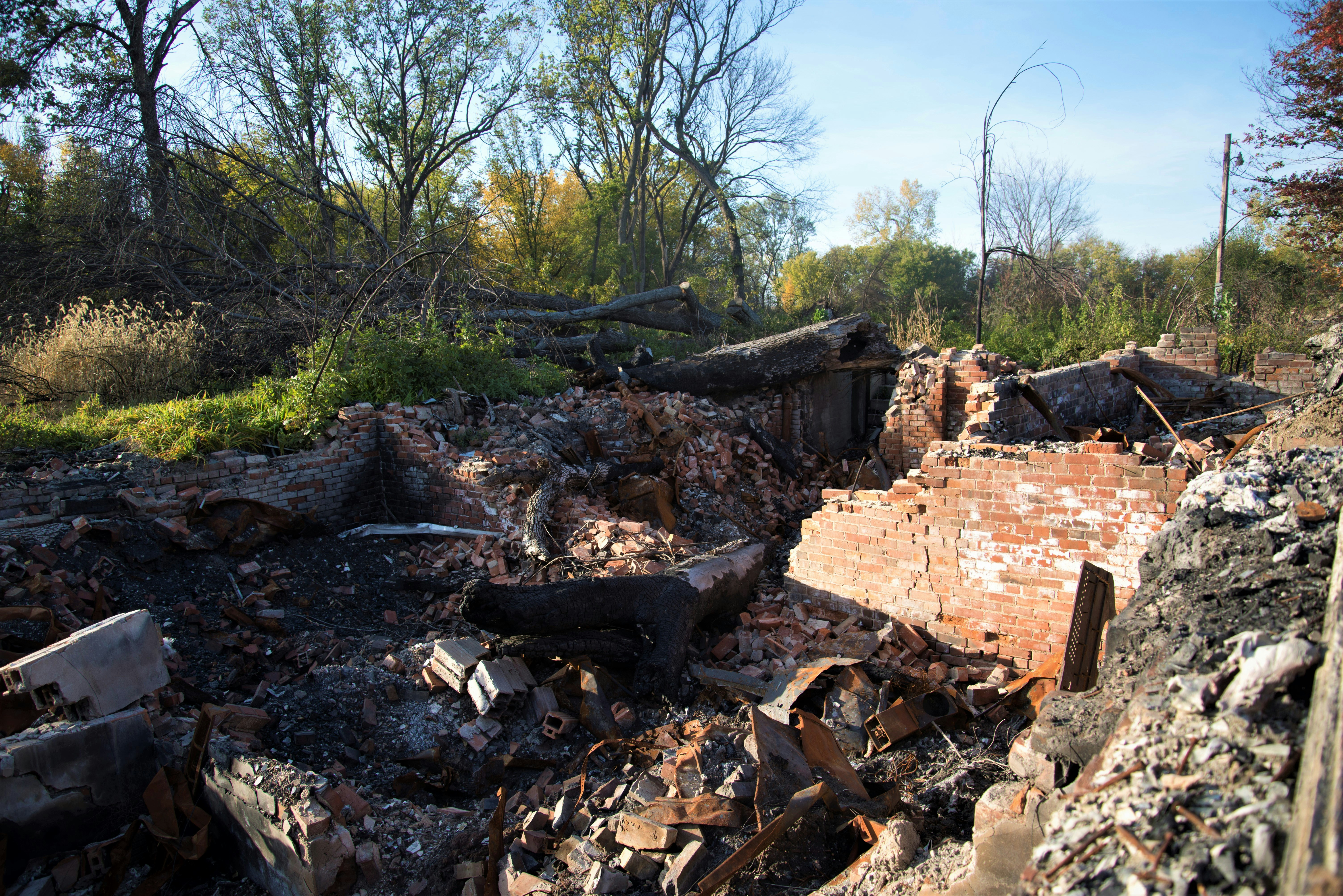 Free Unsplash photo from Sharon Carr