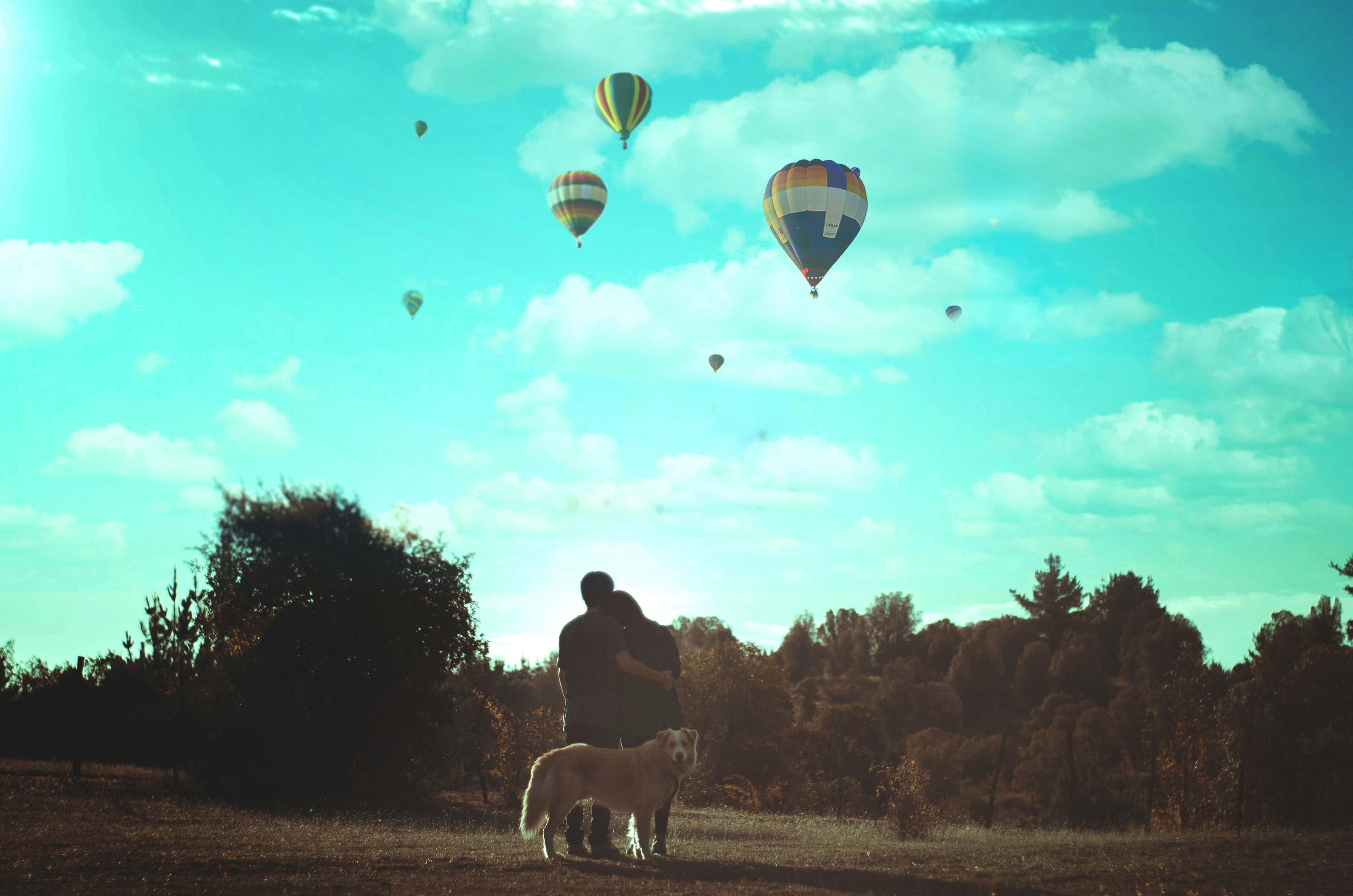 Free Unsplash photo from erik cid