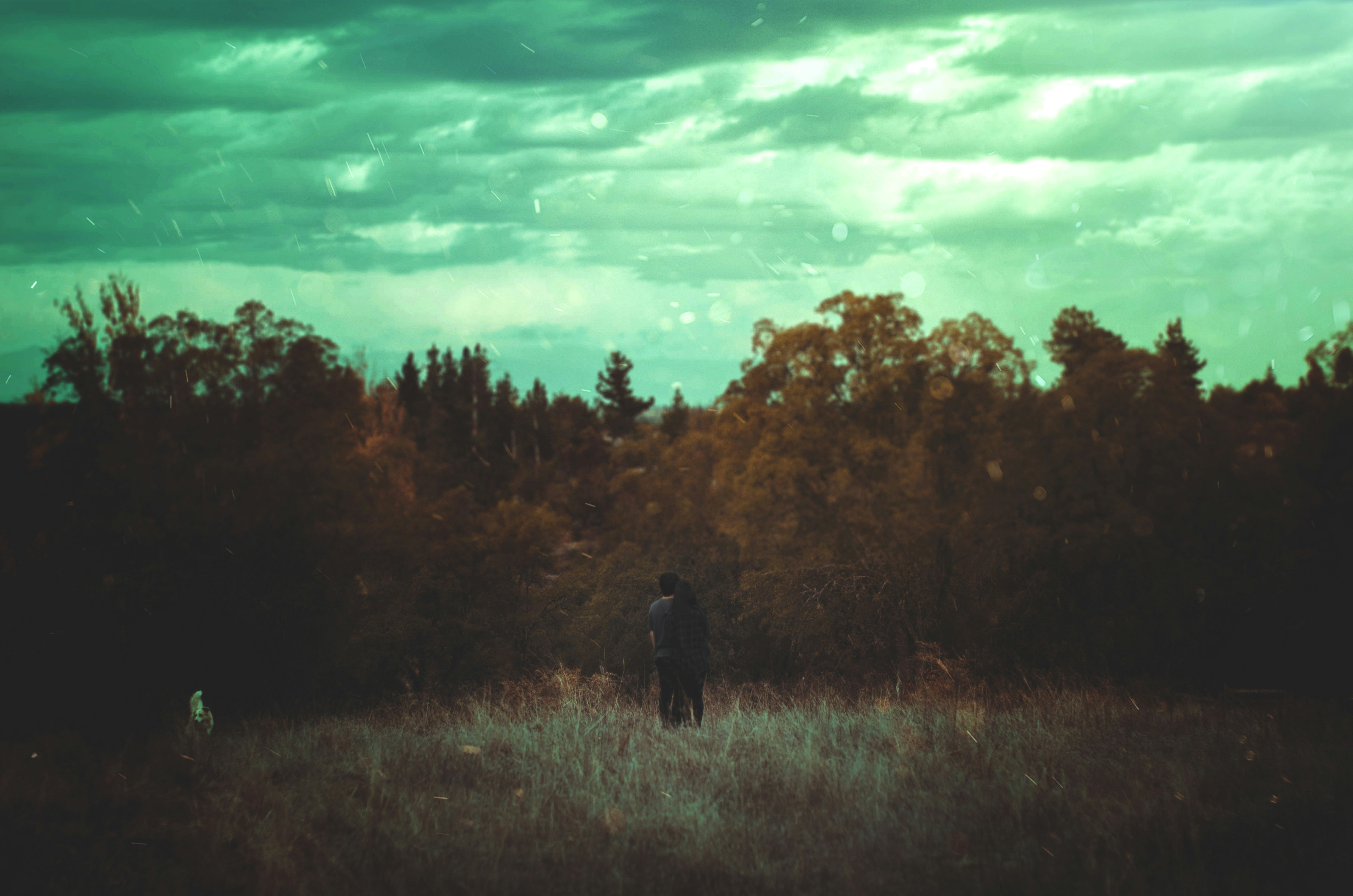 Free Unsplash photo from erik cid