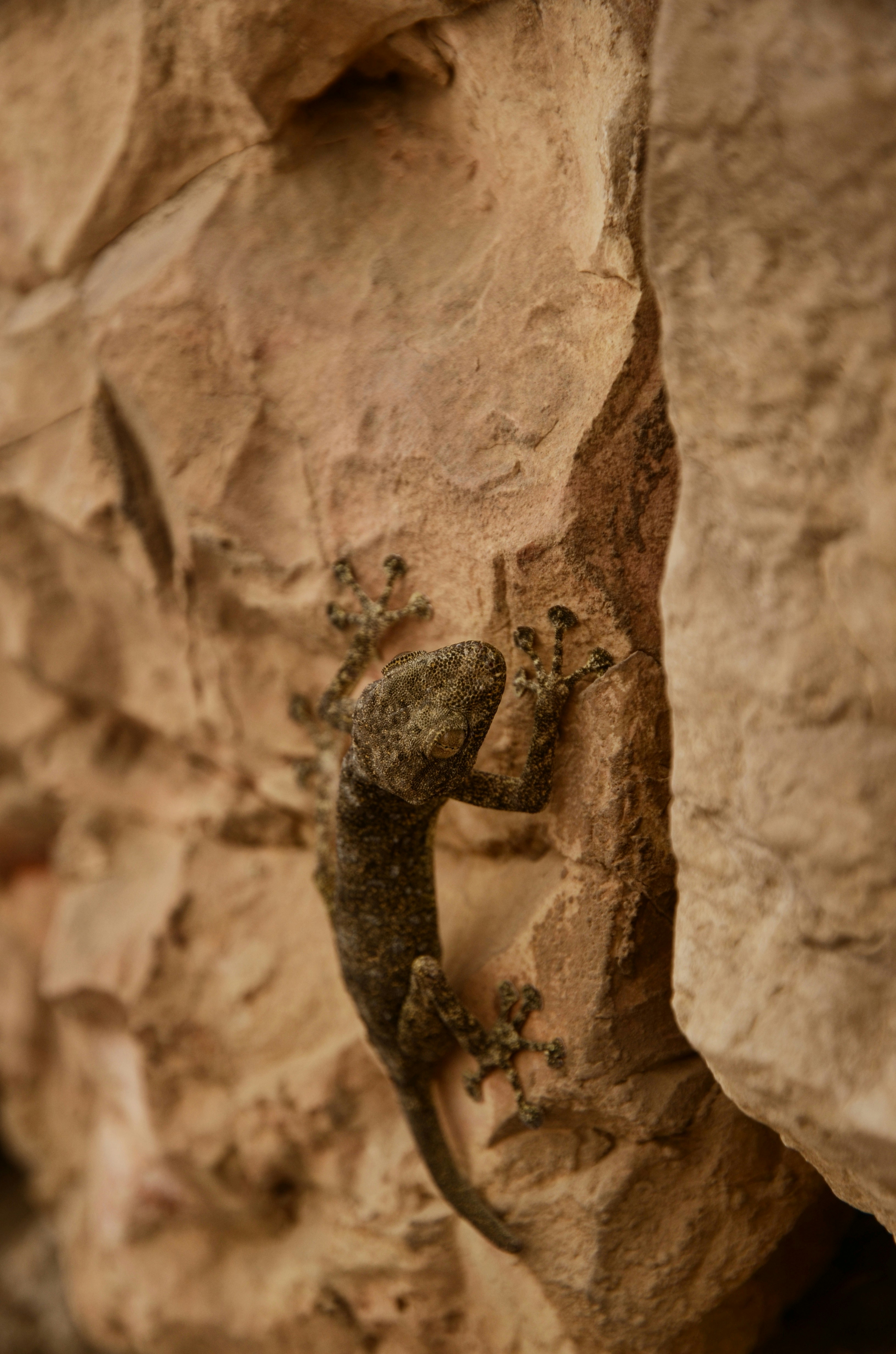 Free Unsplash photo from Simon Goetz