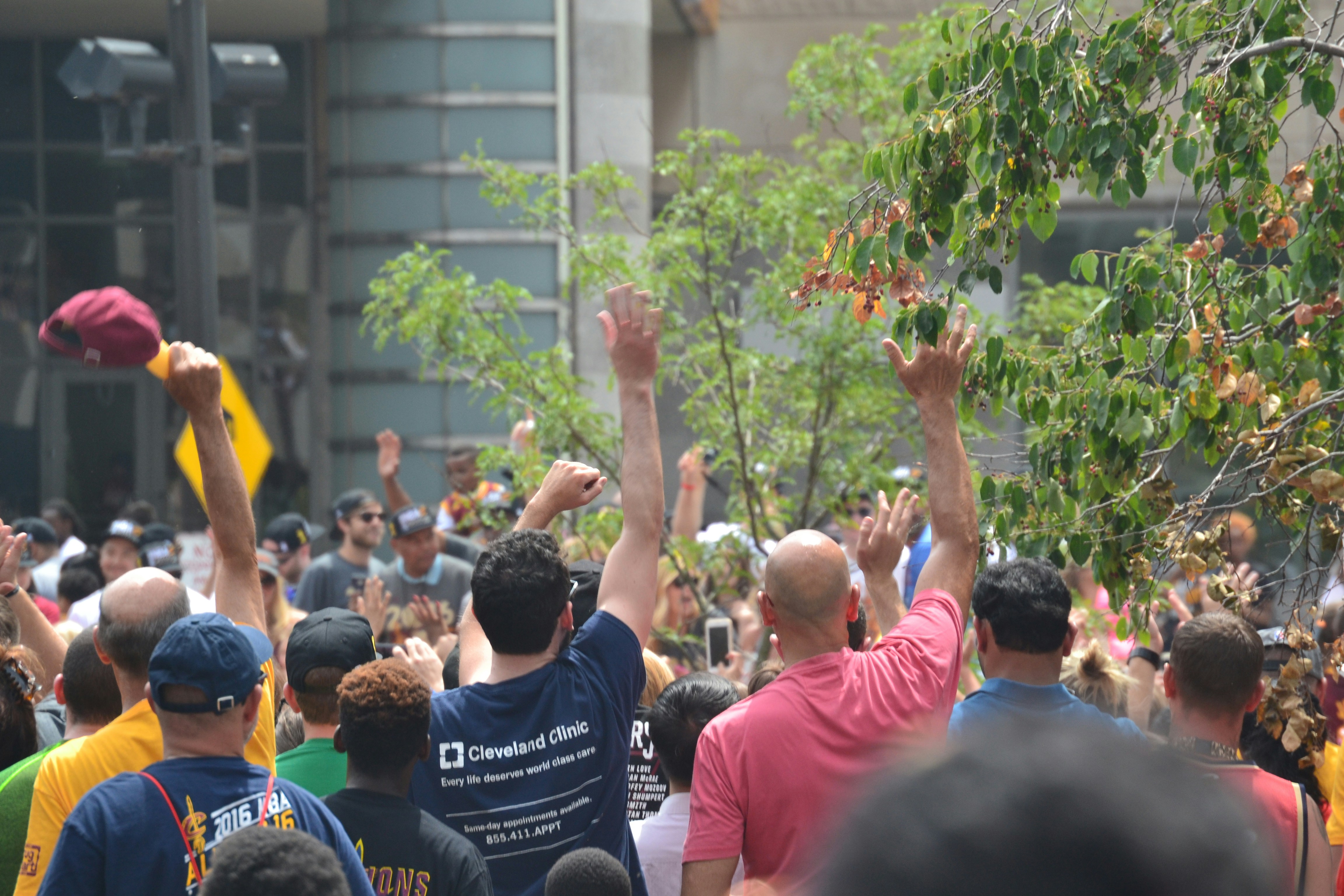 Free Unsplash photo from Mollie Merritt