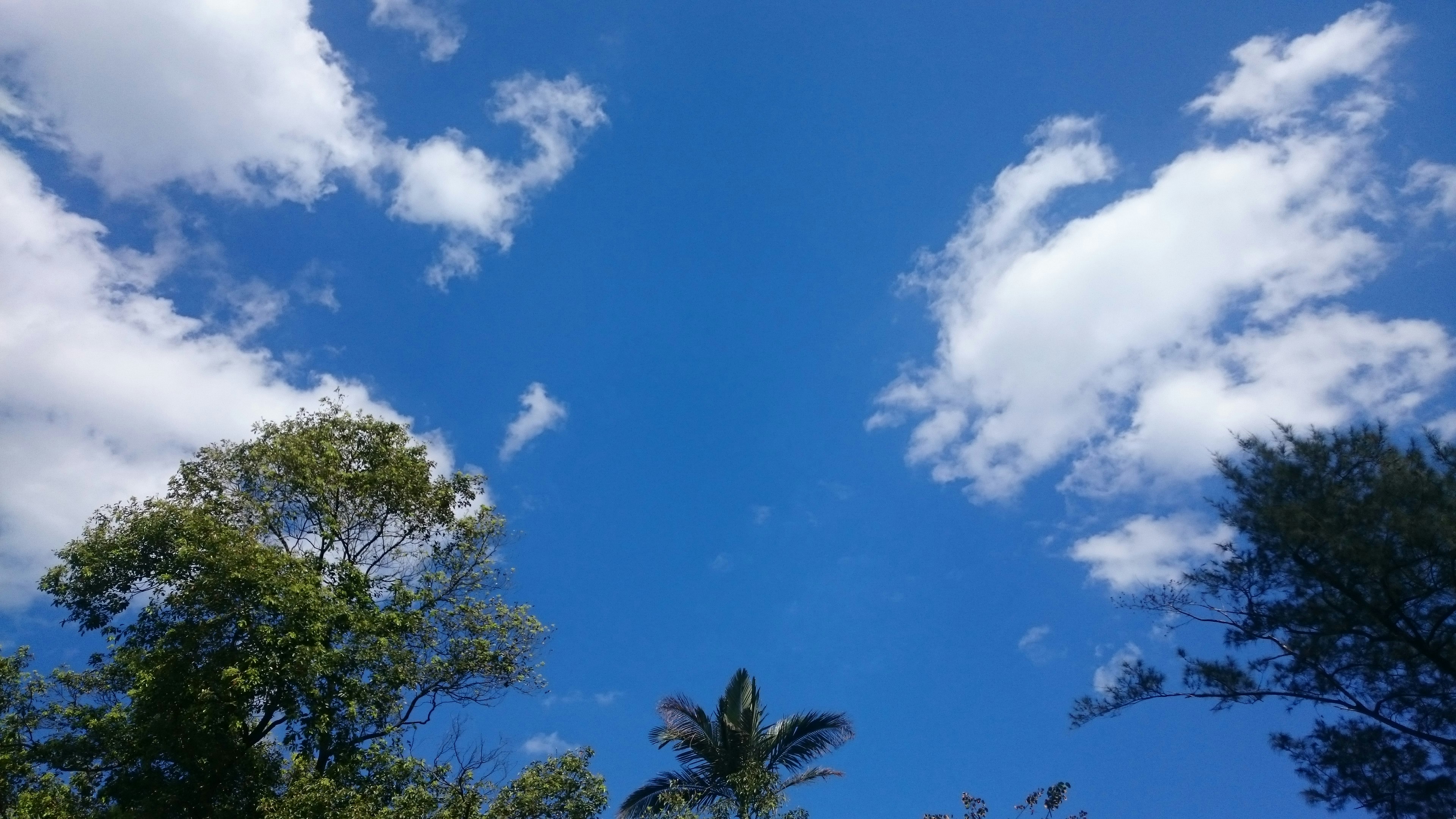 Free Unsplash photo from Peyrong Yang