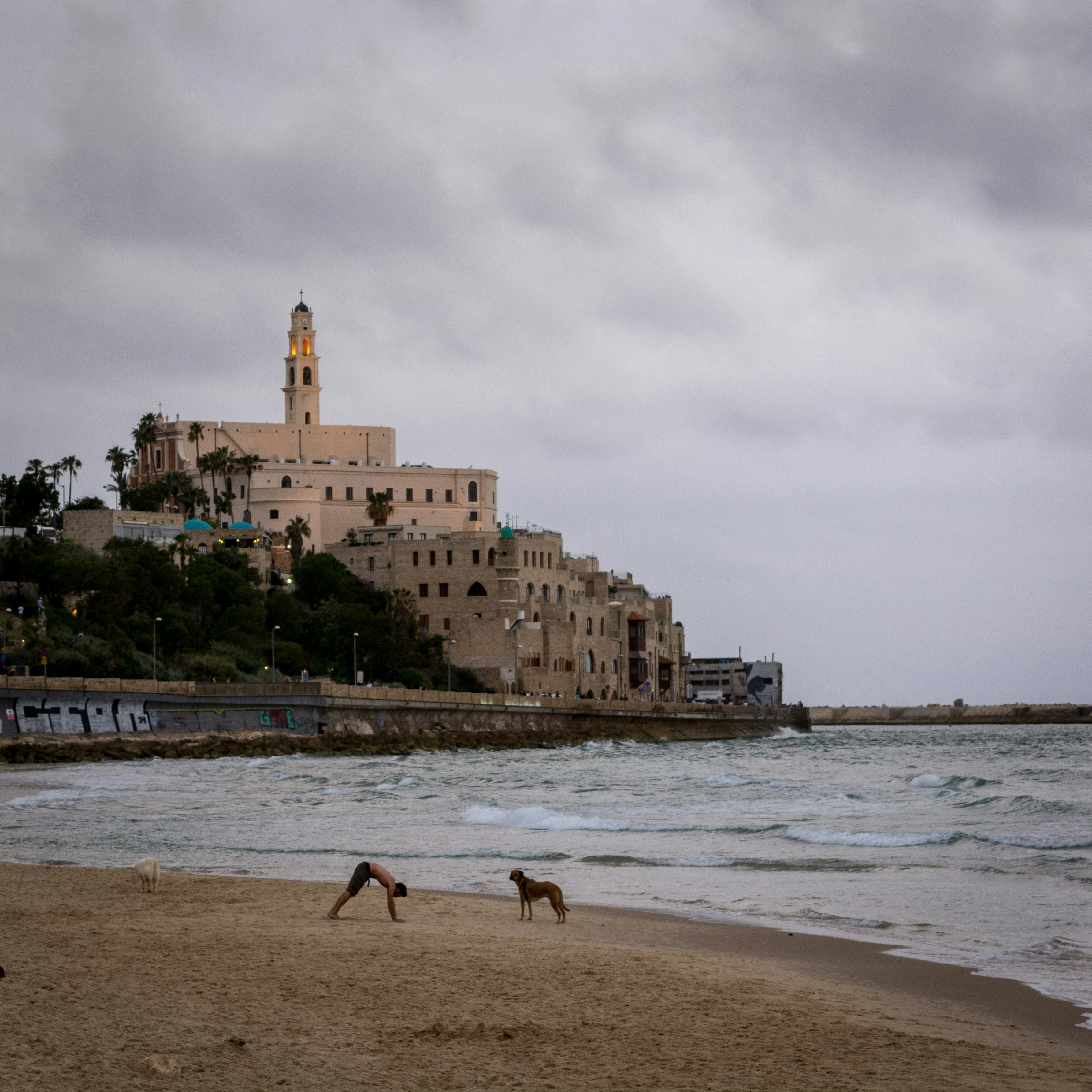 Free Unsplash photo from naaman frenkel