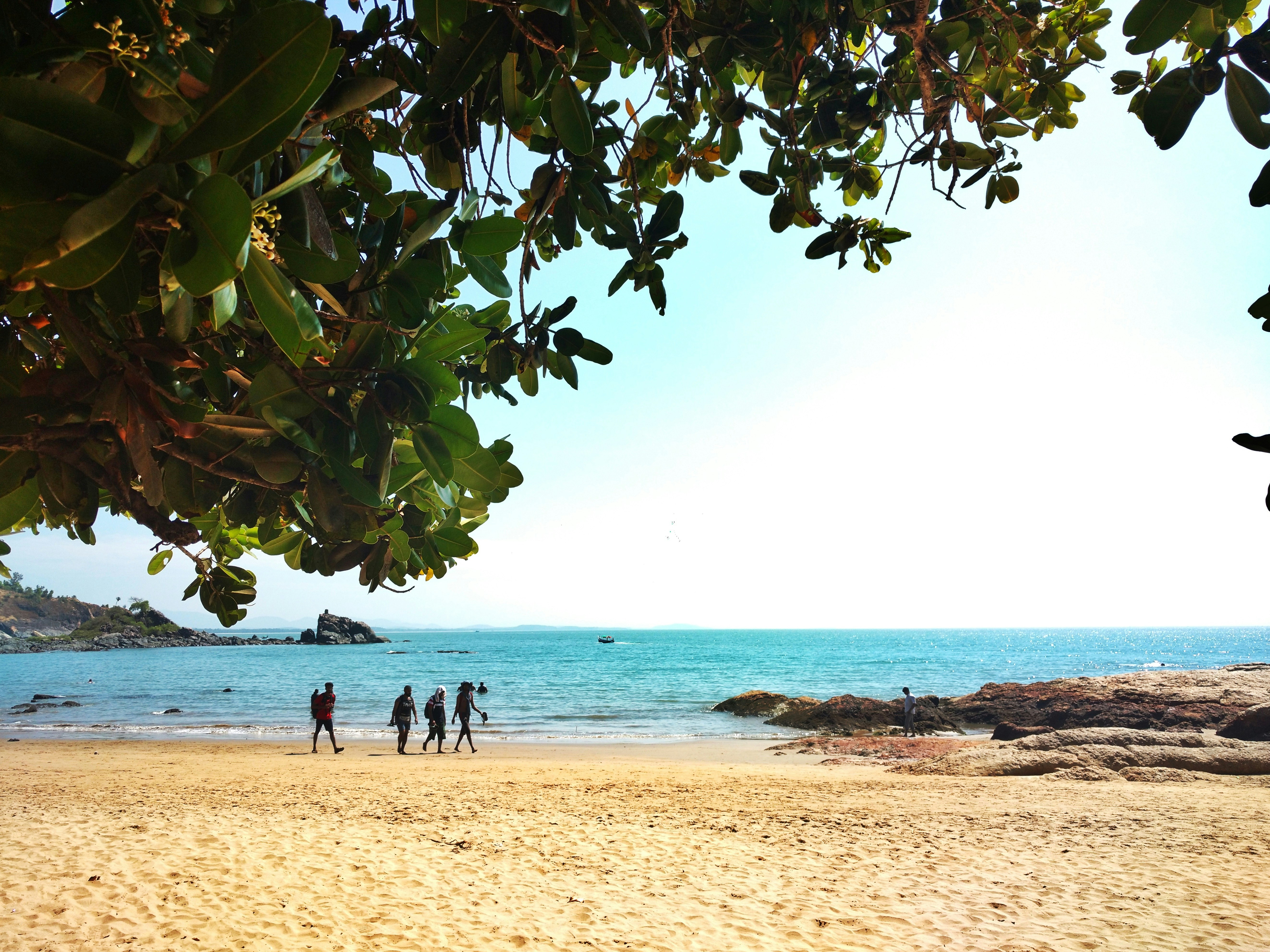 Free Unsplash photo from Tapesh Joham