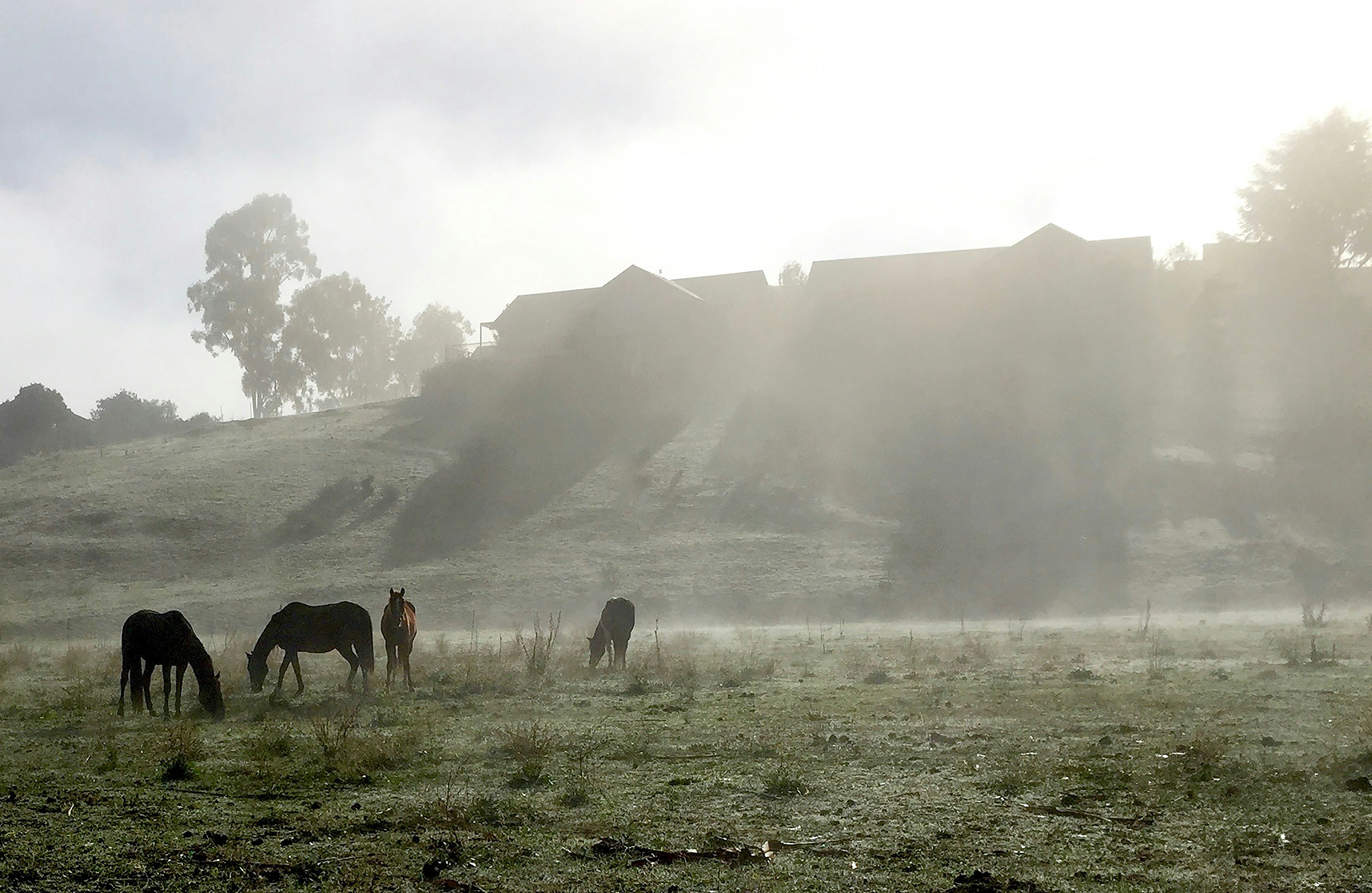 Free Unsplash photo from Tony ONeill