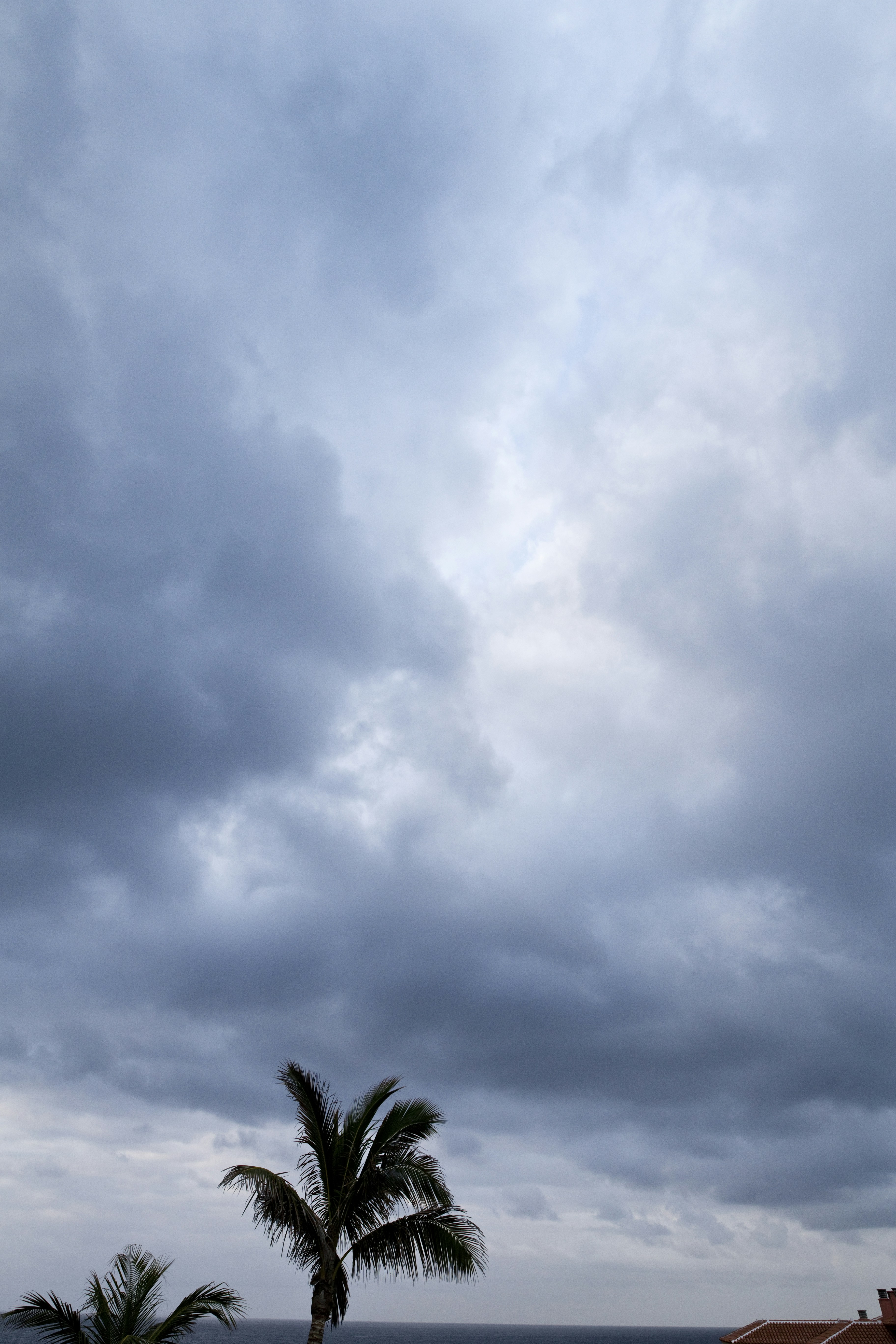 Free Unsplash photo from thomas henke